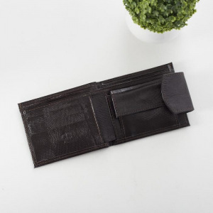 Портмоне мужское, 2 отдела, для кредиток, для монет, игуана, цвет коричневый Портмоне мужское, 2 отдела, для кредиток, для монет, игуана, цвет коричневый