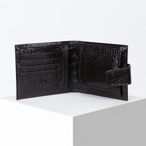 Портмоне мужское, цвет коричневый Портмоне мужское, цвет коричневый