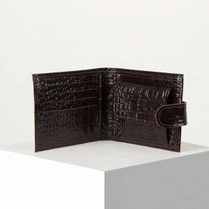 Портмоне мужское, отдел на кнопке, цвет коричневый Портмоне мужское, отдел на кнопке, цвет коричневый