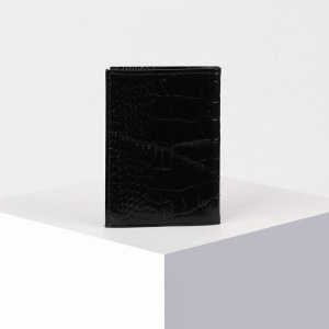 Визитница вертикальная, 18 листов, цвет чёрный Визитница вертикальная, 18 листов, цвет чёрный