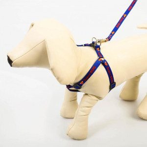 Комплект Super Dog: шлейка 28-47 см, поводок 120 см, макс вес 10 кг