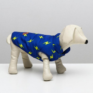 Куртка для собак &quot;Молния&quot;, M (ДС 25 см, ОШ 26 см, ОГ 37 см), ярко-синяя