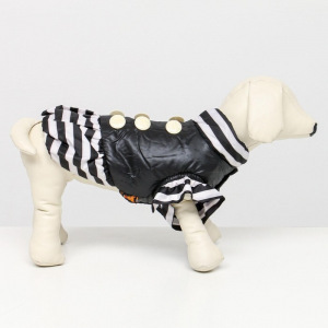 Курточка для собак с воланами, размер 2 (ДС 23, ОШ 26, ОГ 33 см), чёрная