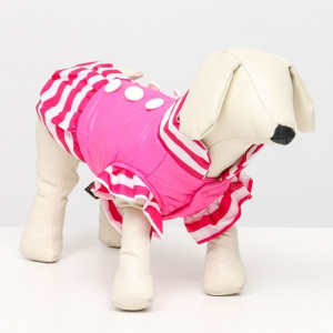 Курточка для собак с воланами, размер 2 (ДС 23, ОШ 26, ОГ 33 см), розовая