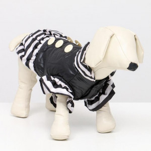 Курточка для собак с воланами, размер 6 (ДС 43, ОШ 44, ОГ 60 см), чёрная