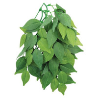 Растение для террариума "Фикус", 50 см