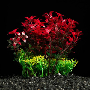 Растение искусственное аквариумное, 15 см, красно-зелёное