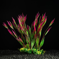 Растение искусственное аквариумное, 22 см, розово-зелёное