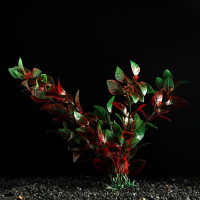 Растение искусственное аквариумное, 4 х 20 см, красно-зелёное