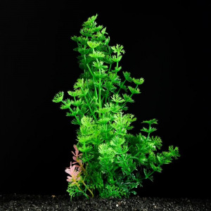 Растение искусственное аквариумное, 6 х 24 см, зелёное