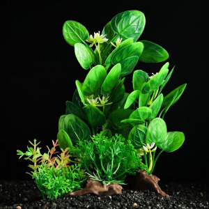 Растение искусственное аквариумное на платформе в виде коряги, 18 см